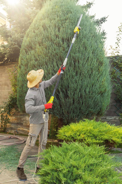 Best Commercial Tree Services  in South Haven, MI